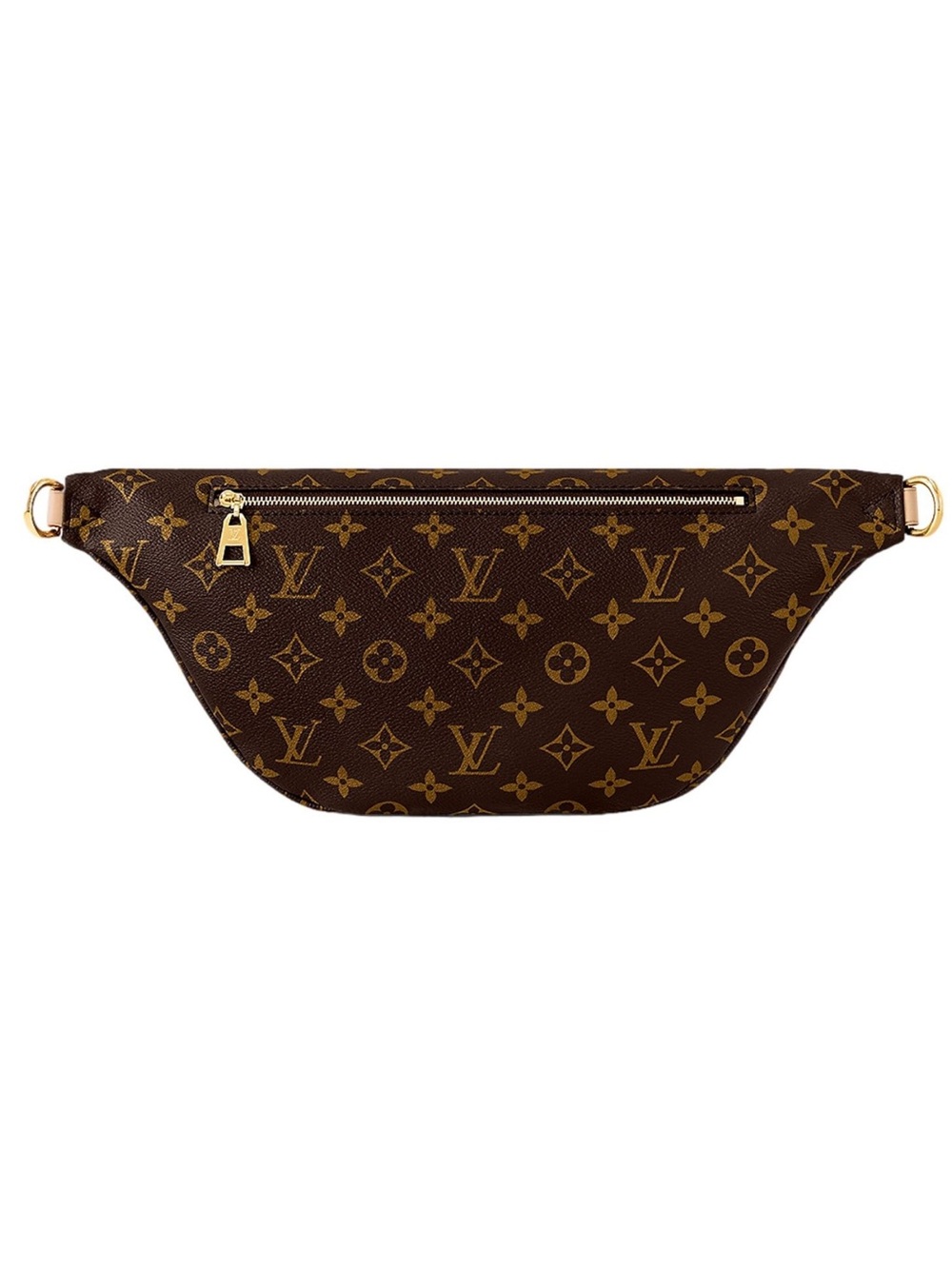 Louis Vuitton Monogram Canvas Bumbag in Brown and Gold